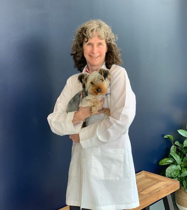Dr. Sandy Stewart Flowery Branch Animal Hospital